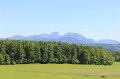 IMG_0613