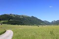 IMG_0619