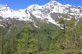 IMG_0702