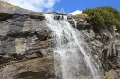 IMG_0795