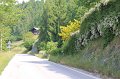 IMG_1314