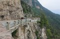 IMG_1426