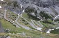 IMG_1486