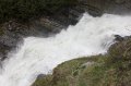 IMG_1527