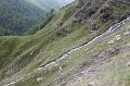 IMG_1661