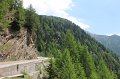 IMG_1685